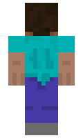 Punzamemes minecraft skin