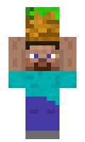 2b95280b0a9d92 minecraft skin