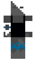 BrickStorm9 minecraft skin