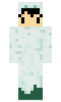 2b9db45d4f1dd2 minecraft skin