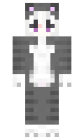 fake minecraft skin