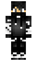 polle2206 minecraft skin