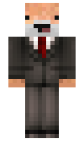 hansopa minecraft skin