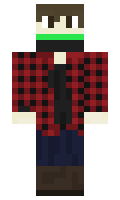 2c00a9b4f9a4f1 minecraft skin