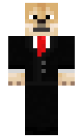 2c03131870df5e minecraft skin