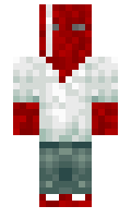 HASZ minecraft skin