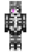 Bernardo minecraft skin