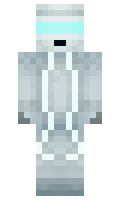 NITROUSPEED minecraft skin