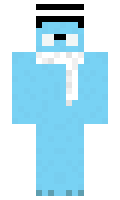 See minecraft skin