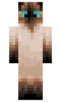 2c8085608a1de7 minecraft skin