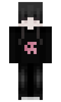 BrandboBoys minecraft skin