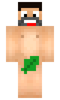 2c901459aa848f minecraft skin