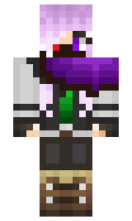2c90275e434989 minecraft skin