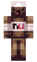 rebels minecraft skin