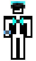 GrayestParty317 minecraft skin