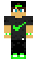 ahojptacku minecraft skin
