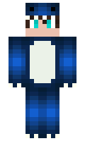 2cf8ef491f2a4b minecraft skin