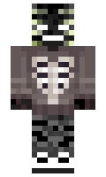 2d19f02408eb66 minecraft skin