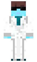 2d21d1463d8637 minecraft skin