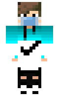 Fabiz minecraft skin