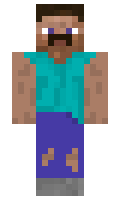 Trevalllyn minecraft skin