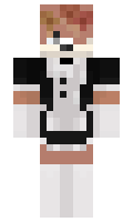 2d334a542a8530 minecraft skin