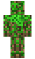 2d4d964298ae88 minecraft skin