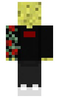 2d6106ff6f9466 minecraft skin