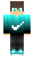 sbouhuizen minecraft skin