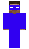 2d76c8bf8fbcac minecraft skin