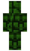 piggerd minecraft skin