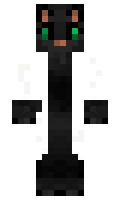 CuboidCat minecraft skin