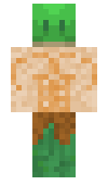 TurtleMan42o minecraft skin