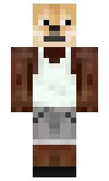 long minecraft skin