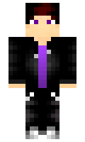d1sa minecraft skin