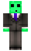 2e0a5a7889b0cb minecraft skin
