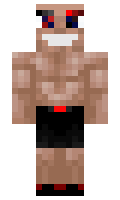 2e1fbb005513f3 minecraft skin