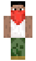 2e244101295f5c minecraft skin