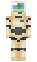 80k minecraft skin