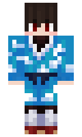 2e4f310e21c2f9 minecraft skin