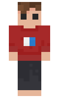 hellicar minecraft skin