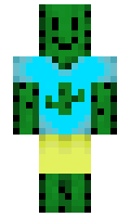 2e82756bbf54bc minecraft skin