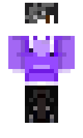 2e8874498608f3 minecraft skin