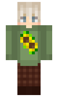 erpan minecraft skin