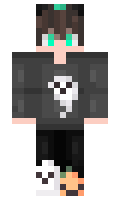 2ed2c50fb293c2 minecraft skin