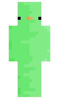 2f079b383bf6ff minecraft skin