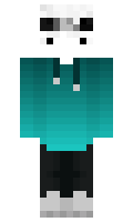 2f3a9d3d9e6688 minecraft skin