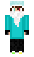 DaFlame8228 minecraft skin