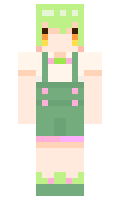 Refer minecraft skin