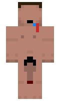 2f6fb673f938db minecraft skin